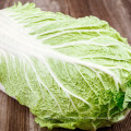 2021 New Harvest Export Natural Fresh Cabbage Export Chinese Cabbage